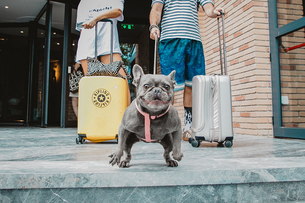 Pet Friendly Pendeli Resort